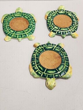 Turtle Coasters